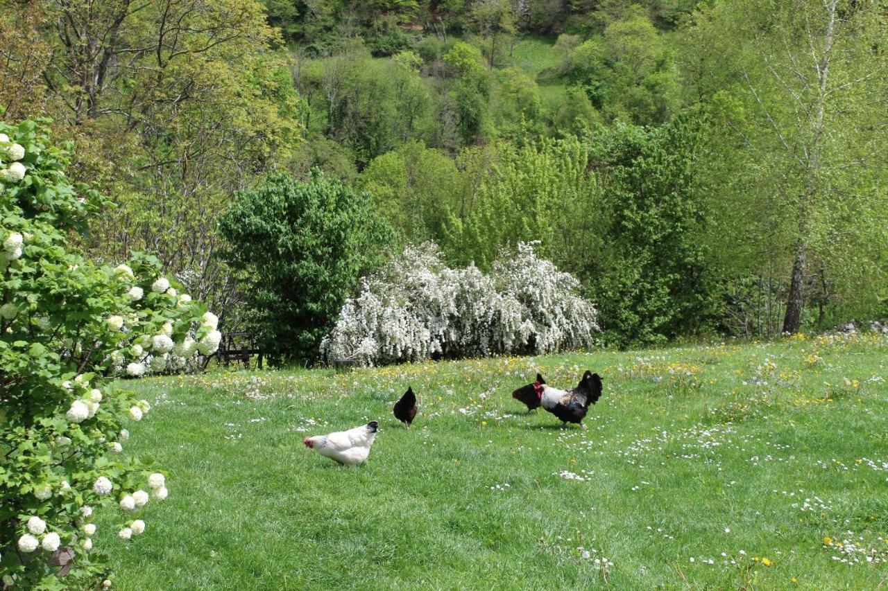 La Grande Ourse Bed & Breakfast Campan Dış mekan fotoğraf